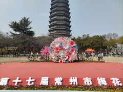 -红梅公园