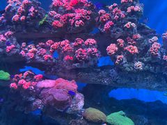 -海合安青岛极地海洋公园