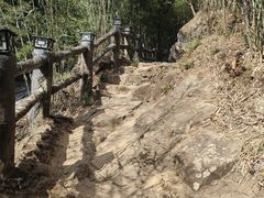 -天门沟九州驿站树上汤泉