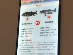 -全乐鱼馆·淳牌有机鱼直营店