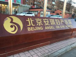 -北京安琪