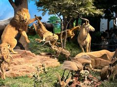 -国家自然博物馆