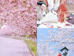 -古柏渡飞黄旅游区