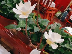 -万荣烤鸭店·北京菜(天坛店)