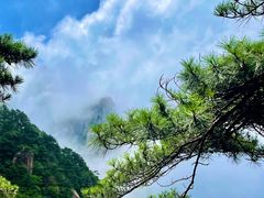-黄山风景区