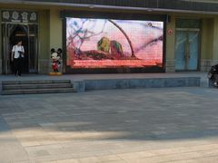 -南宫五洲植物乐园