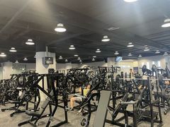 -TMG潮流健身(奥体莲荷里店)