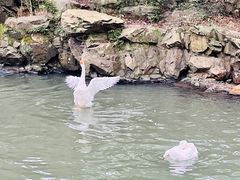 -兰亭风景区