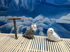 -成都浩海立方海洋公园