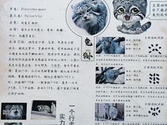 -青藏高原野生动物园