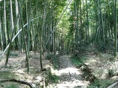 iphone_upload_pic-会稽山峡洞漂流-上青古道