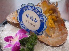 -东海怡品海鲜豆捞(舟宿夜江店)