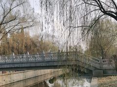 -元大都城垣遗址公园