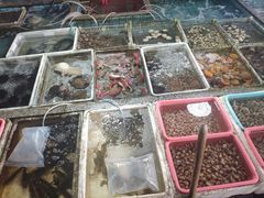 -霞涌市场海鲜摆卖区