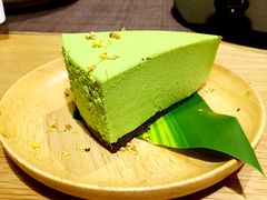 -柴务处·柴犬主题狗咖