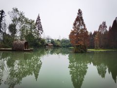 -桤木河湿地公园