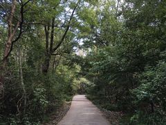 -紫金山天文台