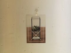 -柴务处·柴犬主题狗咖