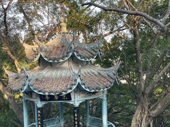 -乌山风景区