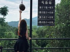 -呀诺达热带雨林