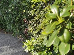 -雨花胜境