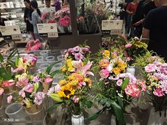 -鹿岛生活(熙地港店)