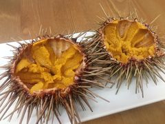 生海胆-海胆小馆(东北水饺·春柳店)