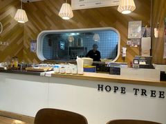 -许小树(国贸商城店)