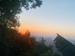 -南山植物园