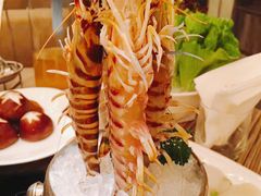 竹节虾-四季火锅酒家(新濠影汇店)