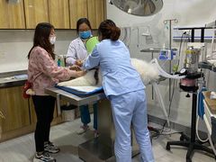 -瑞派名望24h动物医院异宠专科·猫专科·骨科·重症监护分院