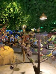 -酷嗒动物文化乐园(cutezoo西溪乐天城店)