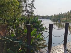 -上海长兴岛郊野公园