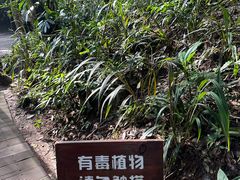 -野象谷景区