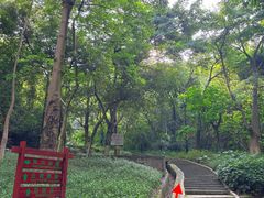 -火炉山森林公园