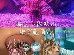 -沈阳海洋探索中心