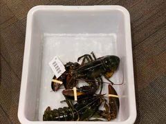 -鱼乐轩海鲜专门店
