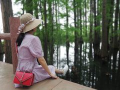 -东湖落雁景区