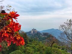 -莫干山风景区