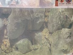 -苏州海洋馆