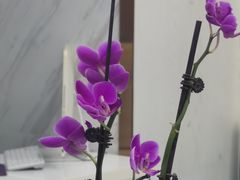 -美可普口腔医院(宝龙标杆店)