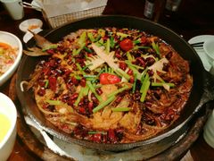 -老板恋上鱼(高新万达店)