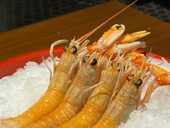 -上海白金汉爵大酒店(大零号湾国际会议中心店)