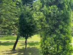 -东莞植物园