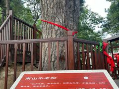 -终南山南五台景区