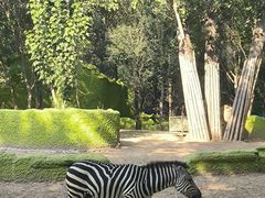 -北京野生动物园
