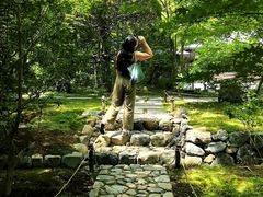 -西芳寺(苔寺)