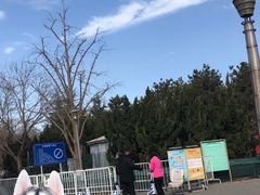 -大兴滨河森林公园