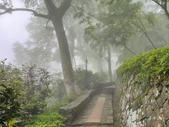 -莫干山风景区
