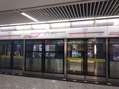 -大龙山(地铁站)